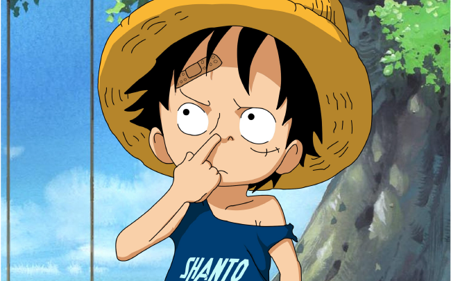 One Piece